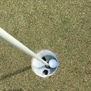 Meet your Posher, Leslie